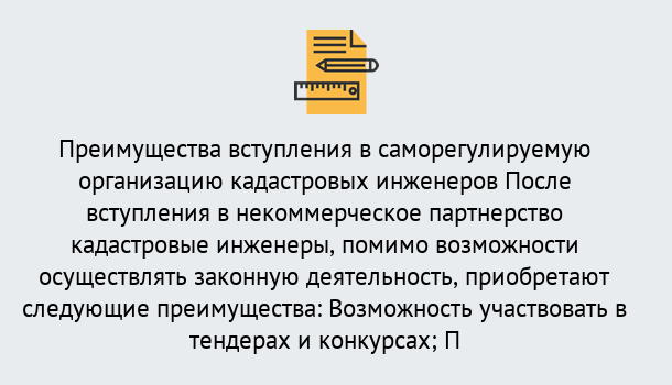 Почему нужно обратиться к нам? Дюртюли Что дает допуск СРО кадастровых инженеров?