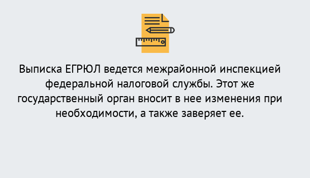 Почему нужно обратиться к нам? Дюртюли Выписка ЕГРЮЛ в Дюртюли ?