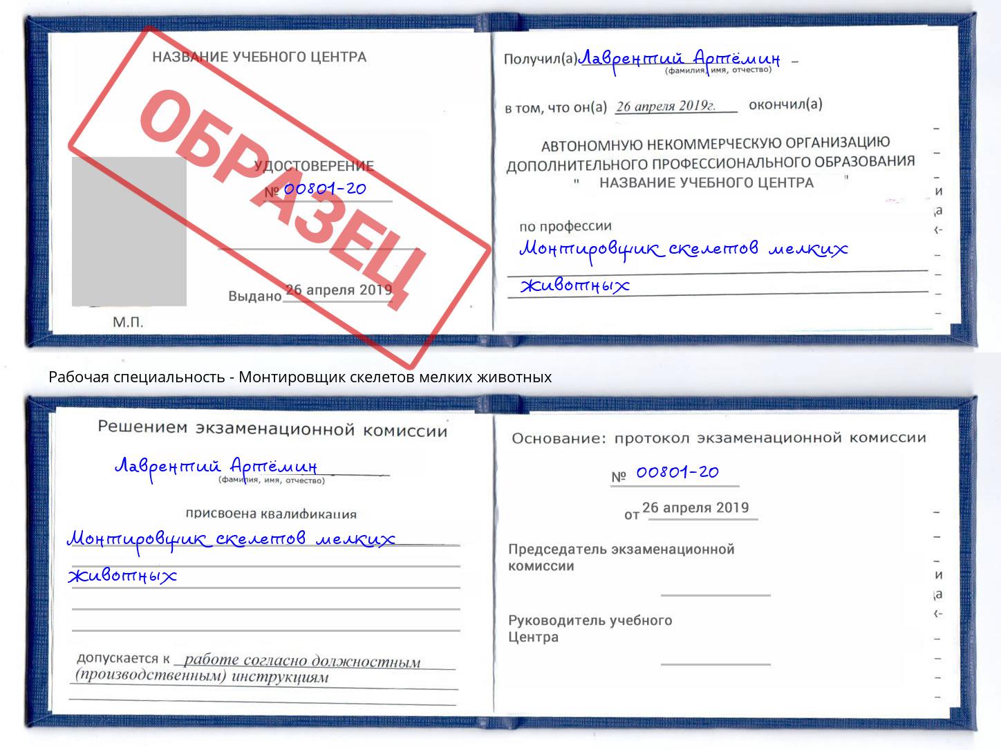 Монтировщик скелетов мелких животных Дюртюли