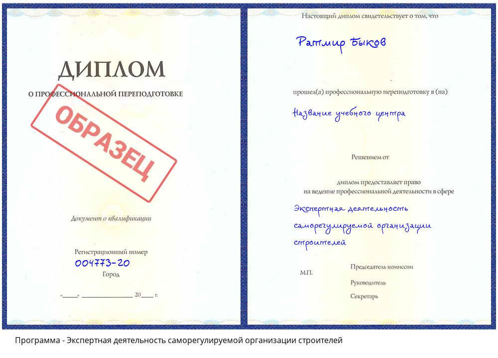 Экспертная деятельность саморегулируемой организации строителей Дюртюли