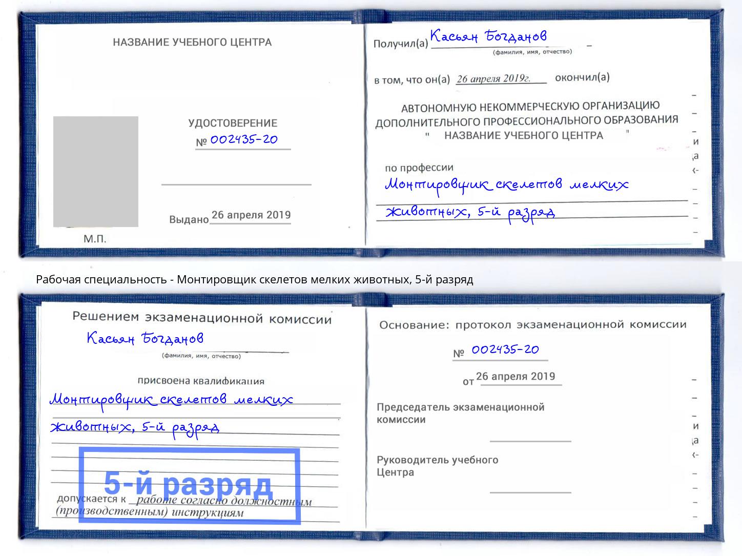 корочка 5-й разряд Монтировщик скелетов мелких животных Дюртюли