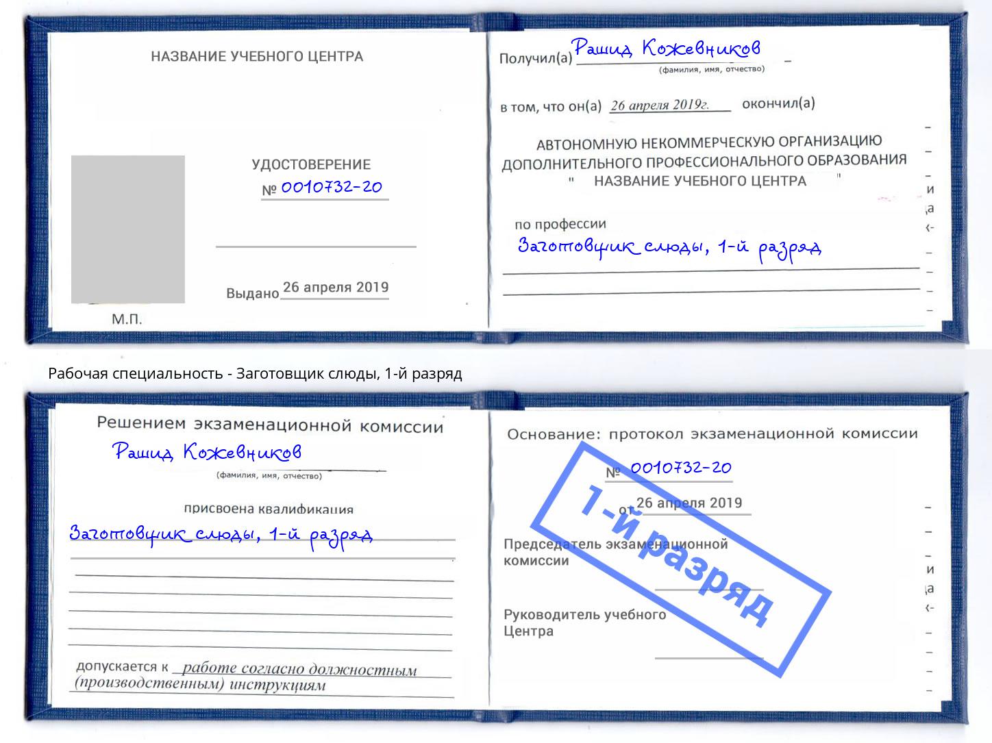 корочка 1-й разряд Заготовщик слюды Дюртюли